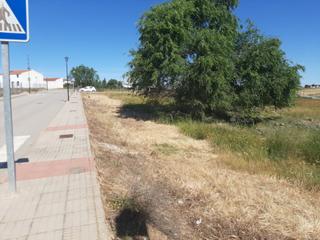 Terreny residencial a Azuaga