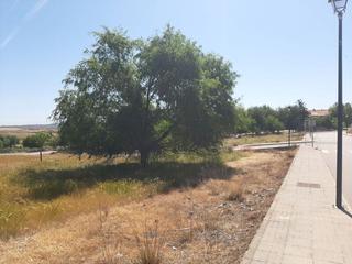 Terreny residencial a Alcaucín