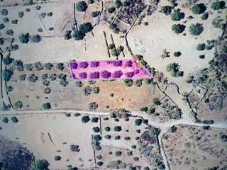 Masia a Robledillo de Trujillo