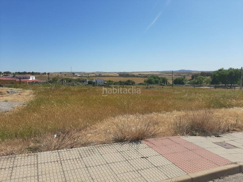 Foto cf0cfeb0-87cc-4632-9c18-f6a1c77ad1ec. Terreno residencial en Alcaucín