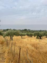 Residential Plot in Millanes, spain