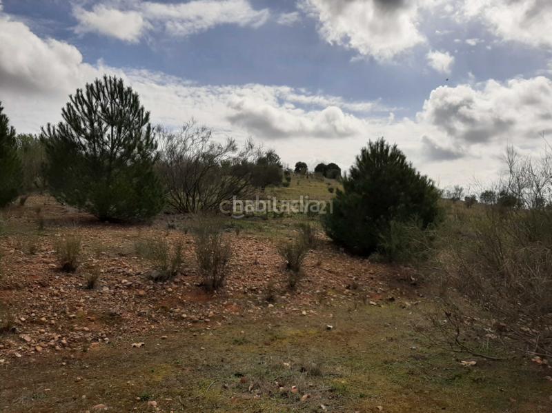 Foto 298ffcf6-768d-4b51-834b-df4b34681877. Solar industrial a nus-20 Golf Guadiana manzana c-3b s/n a Badajoz