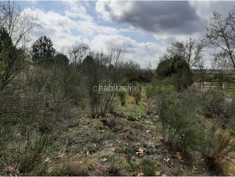 Foto 2a6d5733-66f7-463a-9ec4-20dc09eeb6a2. Solar industrial a nus-20 Golf Guadiana manzana c-3b s/n a Badajoz