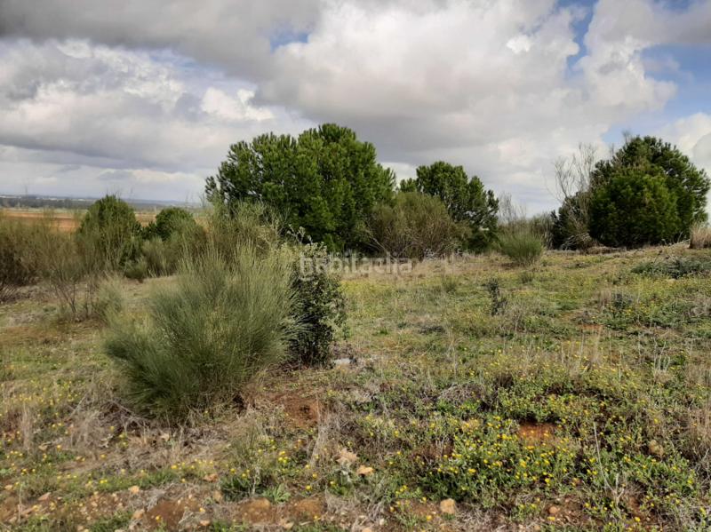 Foto 5d7052f1-451f-4918-bd0b-d1d24b8981a3. Solar industrial a nus-20 Golf Guadiana manzana c-3b s/n a Badajoz