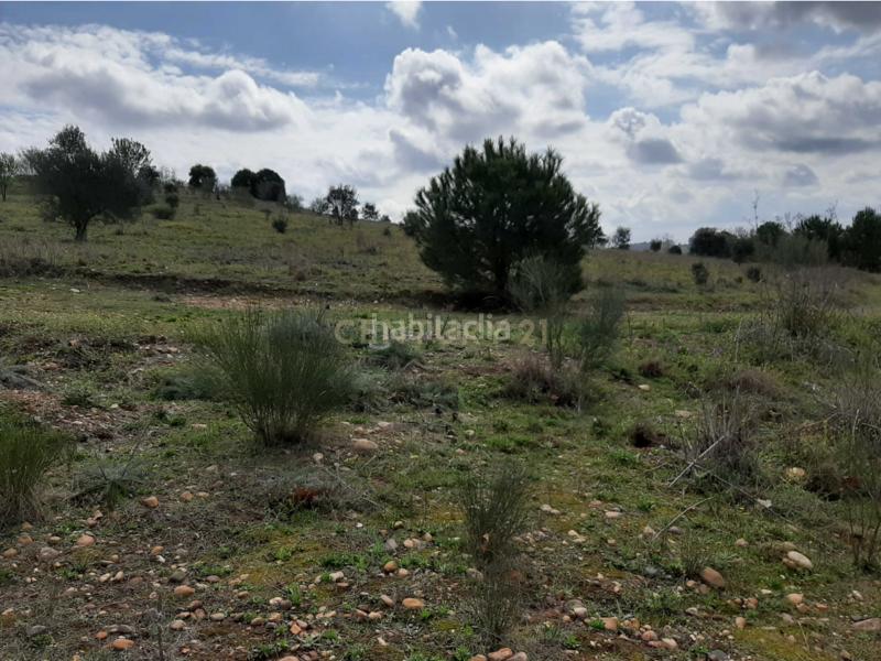 Foto 84b74bed-de4c-4610-9e43-9c92ee811b5f. Solar industrial a nus-20 Golf Guadiana manzana c-3b s/n a Badajoz