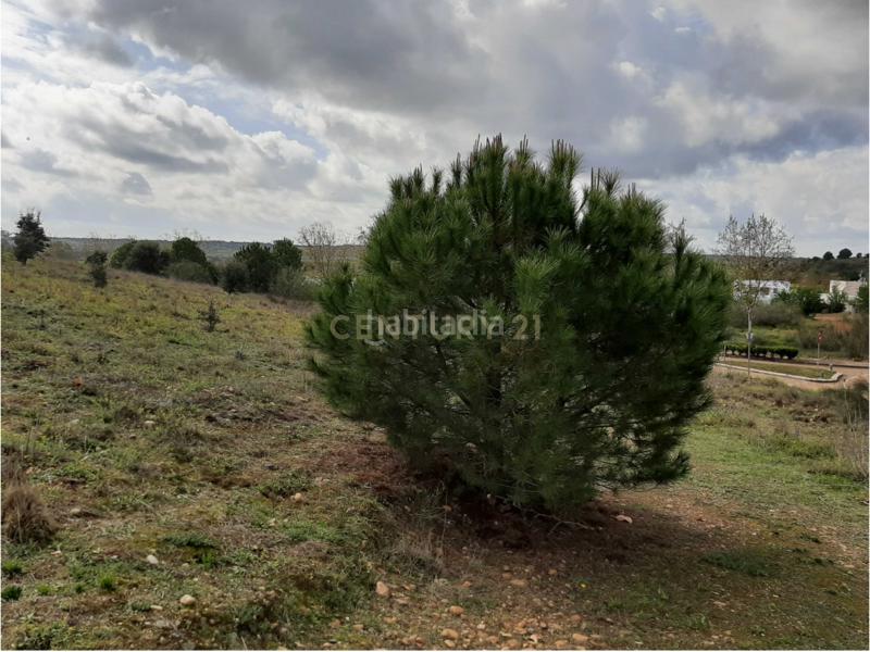 Foto c7bbad7c-653a-42ae-9709-88ad3c180d0d. Solar industrial a nus-20 Golf Guadiana manzana c-3b s/n a Badajoz