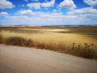 Wohngrundstück in Paraje la moraleja poligono 13, parcela 105