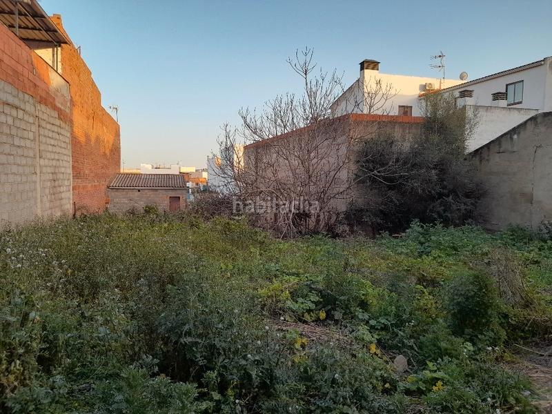 Foto 1a37c2bf-8c0d-4528-b6de-fe04b9d3b604. Terrain résidentiel dans manzaneda dans Maria Auxiliadora - Barriada de Llera Badajoz