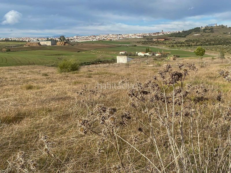 Foto 0ada2413-3c21-474a-a90d-1e6feeb643f7. Finca rústica a Azuaga