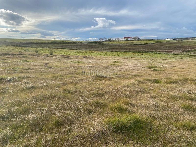 Foto 252aa2a6-7390-41b5-8e65-3138fa485977. Finca rústica a Azuaga