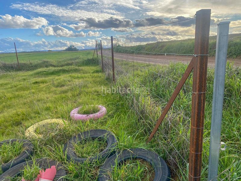 Foto 5a446c19-1332-41e4-be92-54958de920d4. Finca rústica a Azuaga