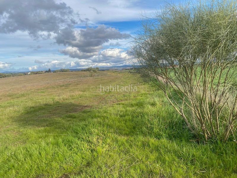 Foto 88aa139b-e722-4e43-a501-80d77596eda6. Finca rústica a Azuaga