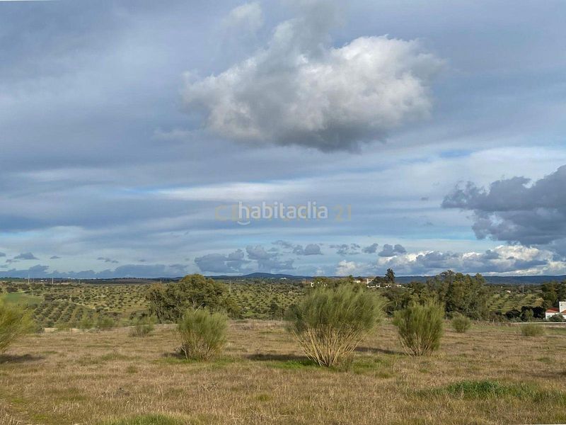 Foto d3e0ff9b-9d95-40f7-9ade-c352fc2d3088. Finca rústica a Azuaga