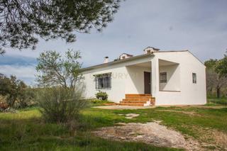 Fondo rustico in Polígono 58   parcela 28. Encantadora finca rústica con casa, piscina y nave  campiña sur