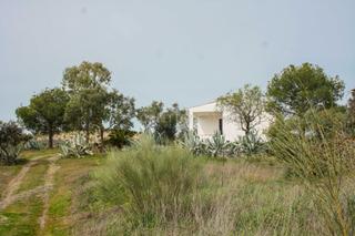 Finca rústica a Polígono 58   parcela 28. Encantadora finca rústica con casa, piscina y nave  campiña sur