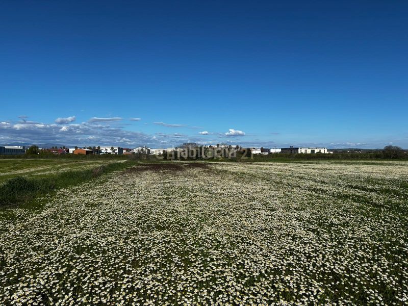Foto aab1cf12-6d2a-4081-9e63-0804300d2930. Finca rústica a 3932+j7 Moraleja a Moraleja