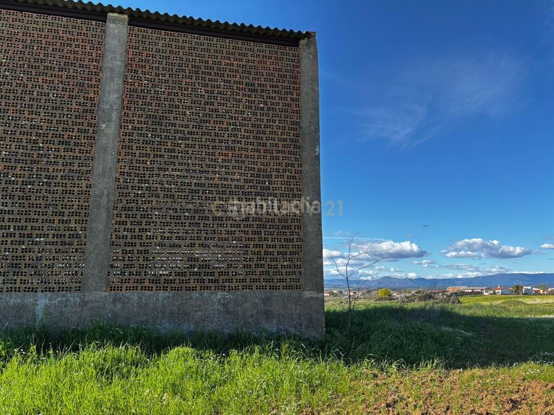 Foto adb11ed4-88fa-4091-8c4b-0dec9bf16cad. Finca rústica a 3932+j7 Moraleja a Moraleja