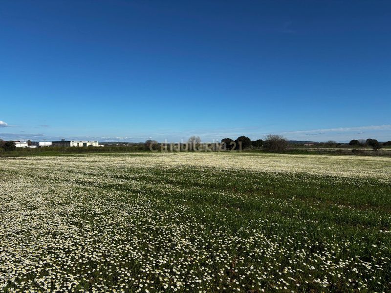 Foto b3b844e6-e532-4188-b3a9-7b91ded693c3. Finca rústica a 3932+j7 Moraleja a Moraleja
