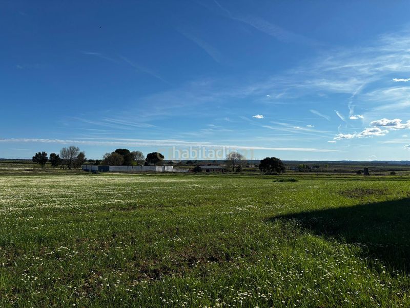 Foto fe066251-4ef9-4132-accf-afaac9992397. Finca rústica a 3932+j7 Moraleja a Moraleja