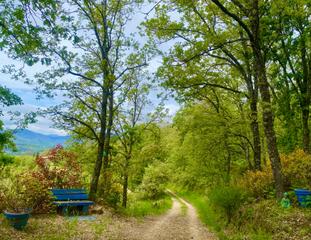 Casa en Jarandilla de la vera, spain. Finca de 5 hectáreas con casa reformada en jarandilla de la vera