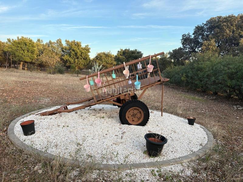 Foto 075b5adc-624d-4051-ba54-700a48320662. Fondo rustico in polígono 1 parcela 10 machal de la mina. merida (badajoz) in Mérida