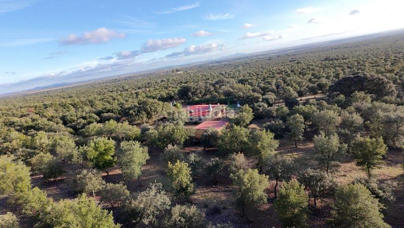 Foto 0e98e225-5f3c-4b0a-add1-12b31be3a8cc. Fondo rustico in polígono 1 parcela 10 machal de la mina. merida (badajoz) in Mérida