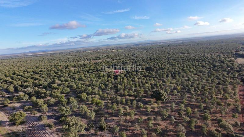 Foto 14c079d5-154e-4e75-a8d2-cf8ebcdf3c0f. Fondo rustico in polígono 1 parcela 10 machal de la mina. merida (badajoz) in Mérida