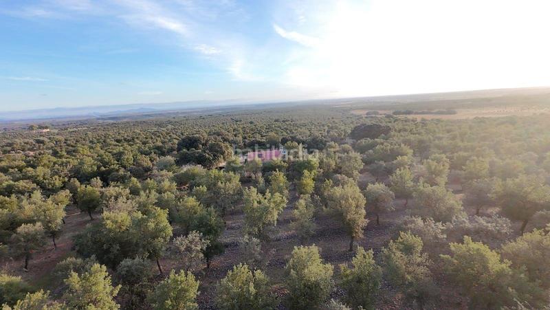 Foto 5627c529-66e9-4a13-9c6f-b8be4dca541e. Fondo rustico in polígono 1 parcela 10 machal de la mina. merida (badajoz) in Mérida