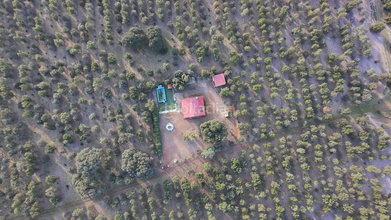 Foto 6127f4e7-5094-4709-9126-2f906e77517e. Fondo rustico in polígono 1 parcela 10 machal de la mina. merida (badajoz) in Mérida