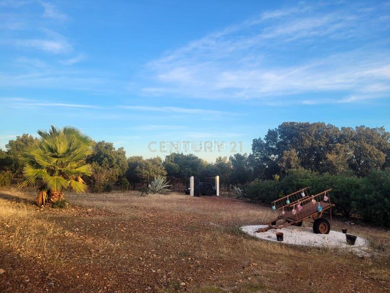 Foto a1518191-b3d1-44f3-877f-3db0c96a98f9. Fondo rustico in polígono 1 parcela 10 machal de la mina. merida (badajoz) in Mérida