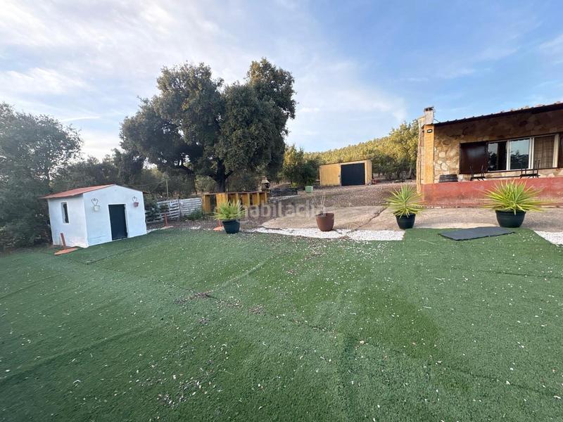 Foto a44a7824-5aab-41c9-b21e-f2e51771eaf9. Fondo rustico in polígono 1 parcela 10 machal de la mina. merida (badajoz) in Mérida