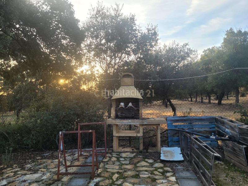 Foto ddd7de82-ea05-4996-b9a6-a764d83f52ad. Fondo rustico in polígono 1 parcela 10 machal de la mina. merida (badajoz) in Mérida