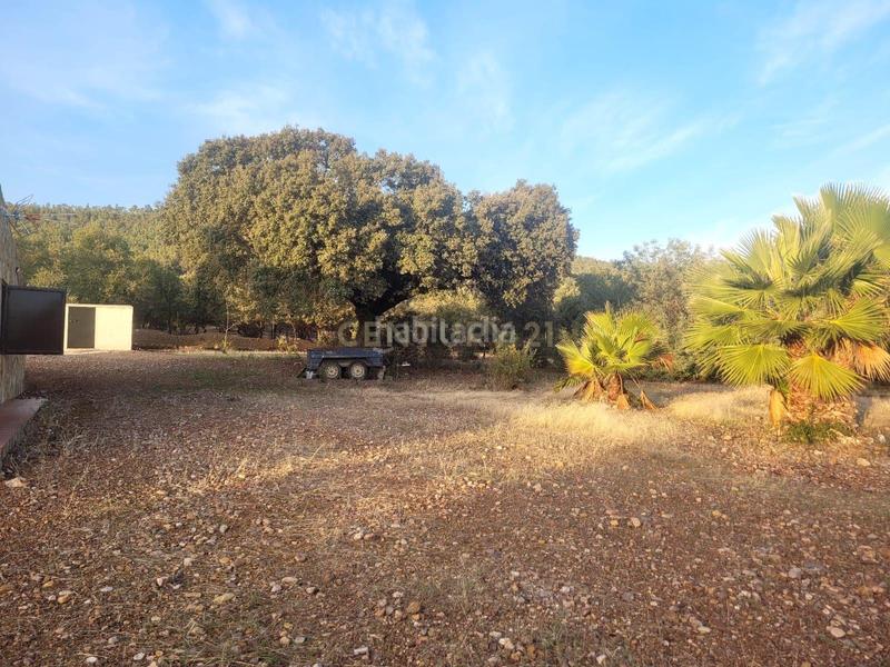 Foto e1a7417f-7d20-4912-b901-ec0efd10d445. Fondo rustico in polígono 1 parcela 10 machal de la mina. merida (badajoz) in Mérida