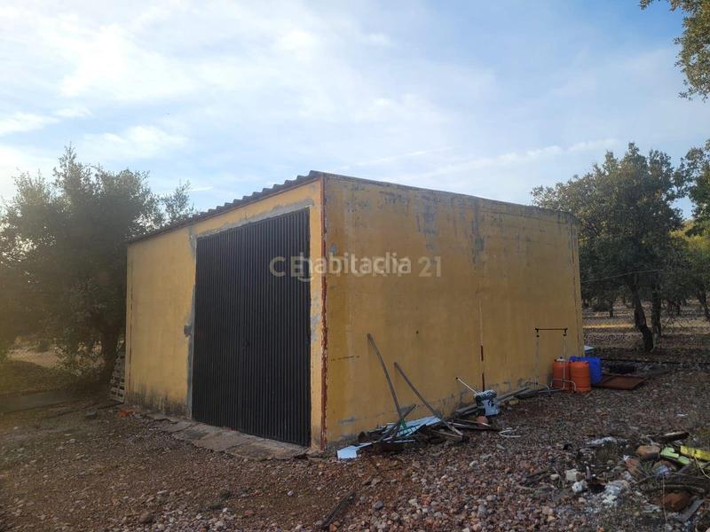 Foto e2dc8183-aa1f-49cd-8a81-07141e3a6858. Fondo rustico in polígono 1 parcela 10 machal de la mina. merida (badajoz) in Mérida
