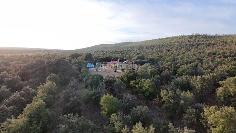 Foto eff98e30-ab0f-4574-b8eb-cd30f05edbb6. Fondo rustico in polígono 1 parcela 10 machal de la mina. merida (badajoz) in Mérida