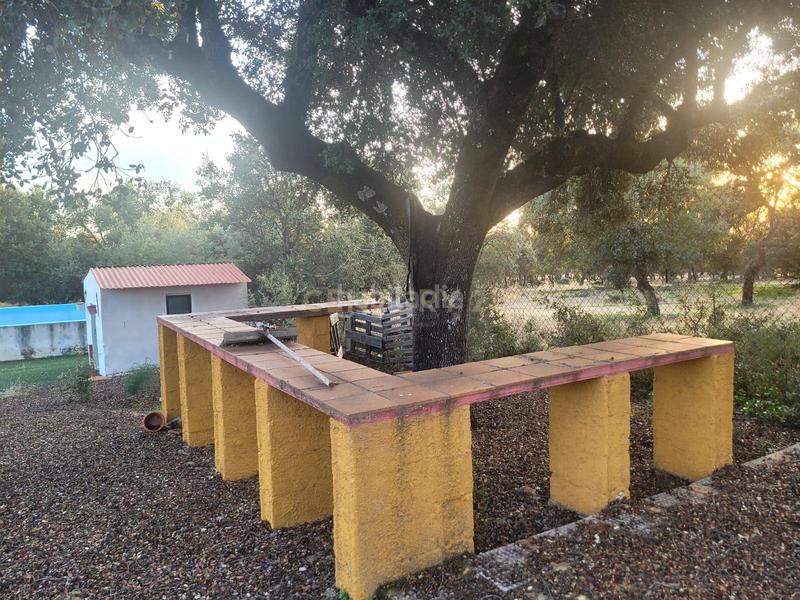 Foto fdb0396d-8348-4b62-90a5-faf8d15e4c55. Fondo rustico in polígono 1 parcela 10 machal de la mina. merida (badajoz) in Mérida