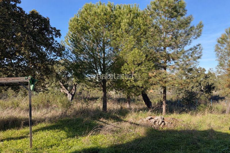 Foto 51fa9ff7-c2b2-4f93-b25e-d605d2530908. Apartament amb piscina a Estación Arroyo Malpartida Cáceres