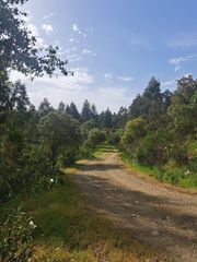 Fondo rustico in Polígono 3 parcela 2 la garapetosa. herrera de alcantara (cácere. Finca rústica de 244 hectáreas junto al río tajo  herrera de alc