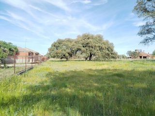 Finca rústica a Pasaje monte del casar, casar de cáceres, spain. Parcela de 2.985 m en monte del casar  entorno consolidado y gra