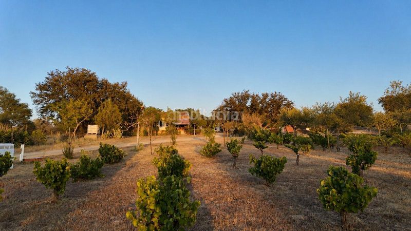 Foto a195fb13-69e2-4de0-9bcf-5464fef42923. Haus mit parking in Arroyo de la Luz
