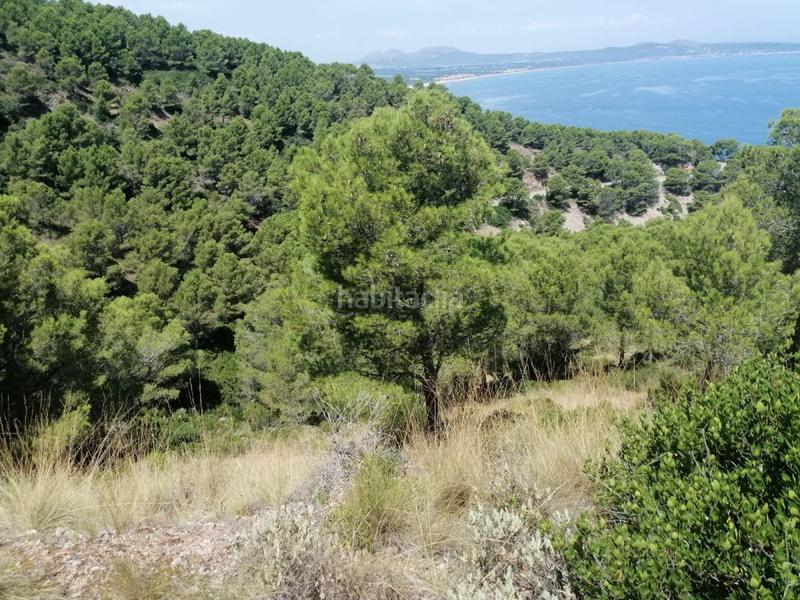 Foto 1cabe76e-c1af-494b-a5c2-99c8e32a2781. Terreno residencial parcela en venta . en Aiguafreda-Sa Tuna Begur