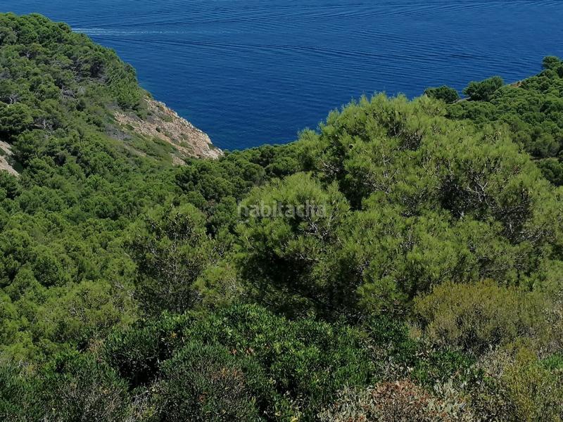 Foto 5c5043d6-1913-4889-b169-7abf5b257eff. Terreno residencial parcela en venta . en Aiguafreda-Sa Tuna Begur