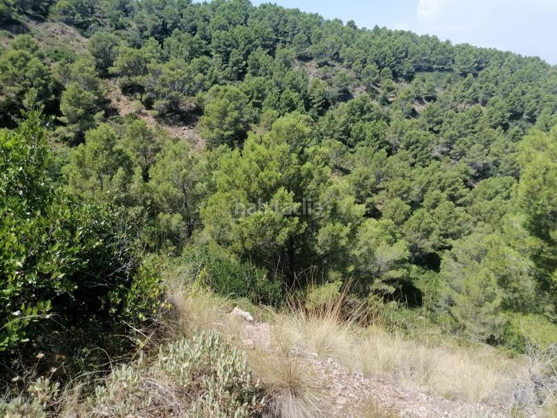 Foto 5e8ace57-b599-4b66-b945-f5f8142ed320. Terreno residencial parcela en venta . en Aiguafreda-Sa Tuna Begur