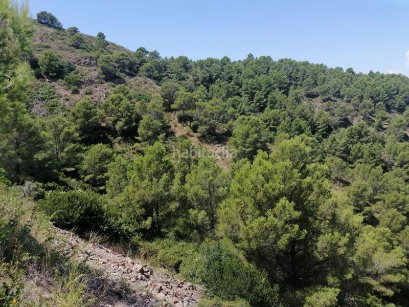 Foto 79f6d0f4-8760-479f-be28-78c4082d5c33. Terreno residencial parcela en venta . en Aiguafreda-Sa Tuna Begur