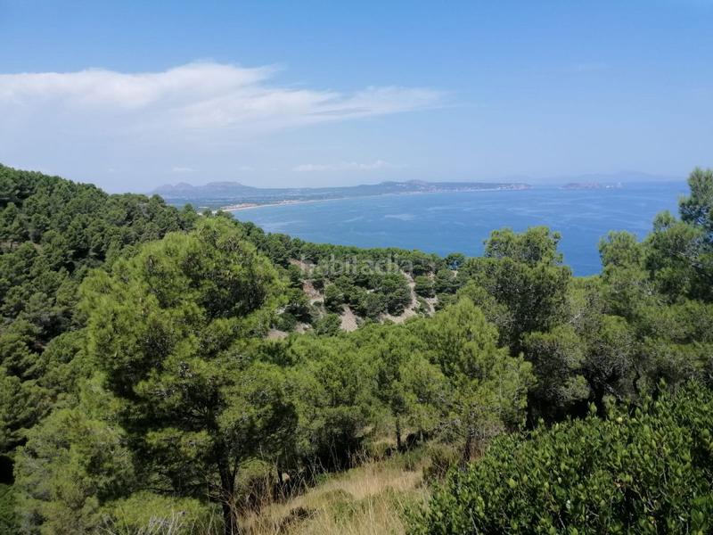 Foto a0ee53e6-564b-4b2a-a3d0-0112cda003c0. Terreno residencial parcela en venta . en Aiguafreda-Sa Tuna Begur