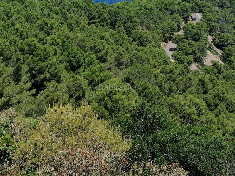 Foto ca622cc2-7bbf-4db5-944f-a353811e07a3. Terreno residencial parcela en venta . en Aiguafreda-Sa Tuna Begur