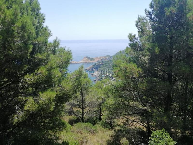 Foto e0518127-3651-4690-97eb-88c51669efcc. Terreno residencial parcela en venta . en Aiguafreda-Sa Tuna Begur