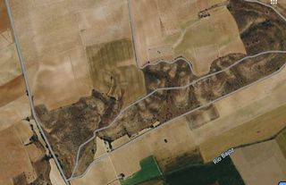 Finca rústica a Diseminado diseminados 31. 28 hectáreas de terreno rústico con pinos y encinas en morales d