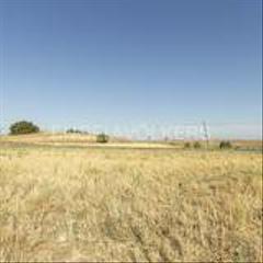 Terreny residencial a Talamanca de Jarama. Terreno en la varguilla, talamanca de jarama