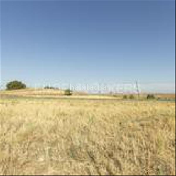 Foto 4093d27a-e3a8-463d-9f95-c88d5ec2b991. Terrain résidentiel dans Valdeolmos - Alalpardo